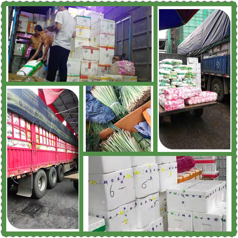 首页| J9集团国际站官方网站