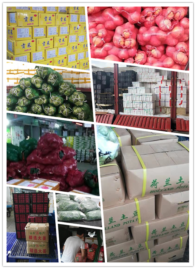 首页| J9集团国际站官方网站