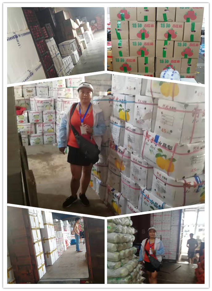 首页| J9集团国际站官方网站