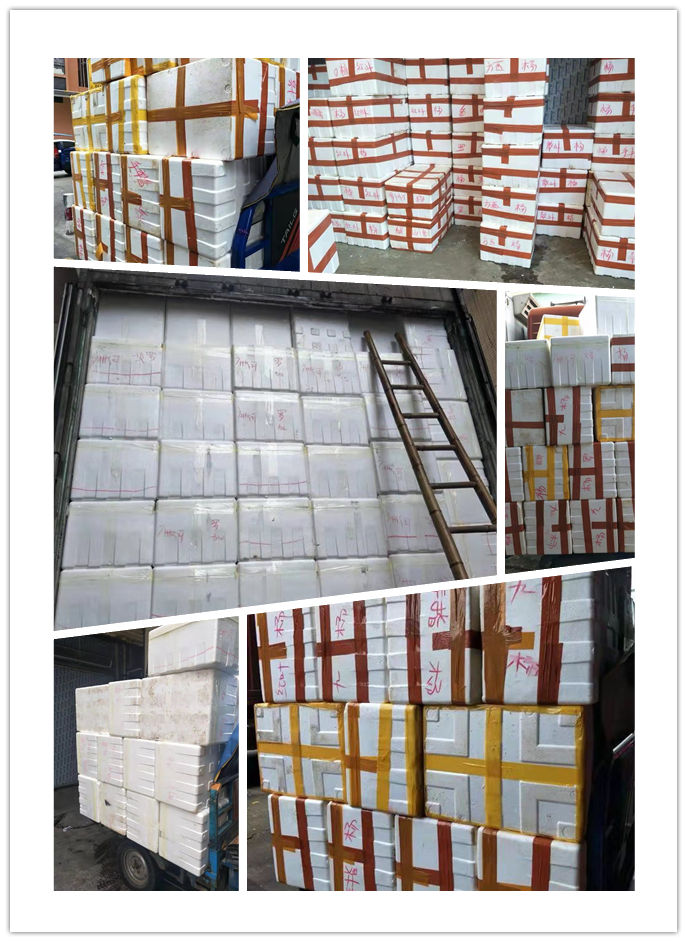 首页| J9集团国际站官方网站