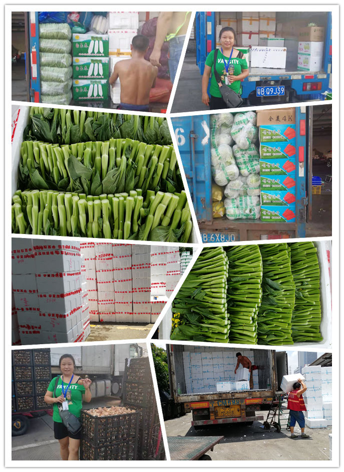 首页| J9集团国际站官方网站