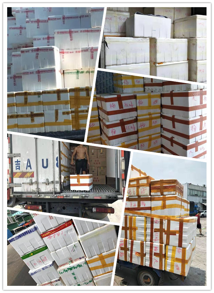 首页| J9集团国际站官方网站