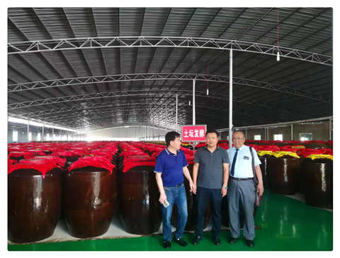 首页| J9集团国际站官方网站