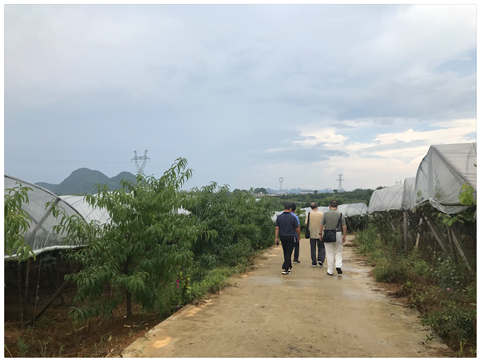 首页| J9集团国际站官方网站