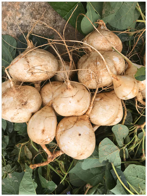 首页| J9集团国际站官方网站