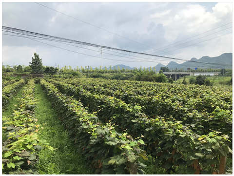 首页| J9集团国际站官方网站