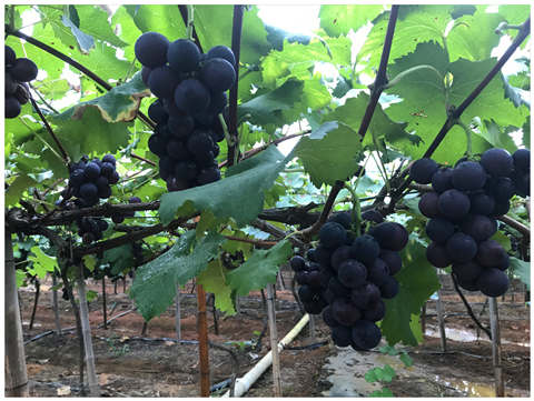 首页| J9集团国际站官方网站