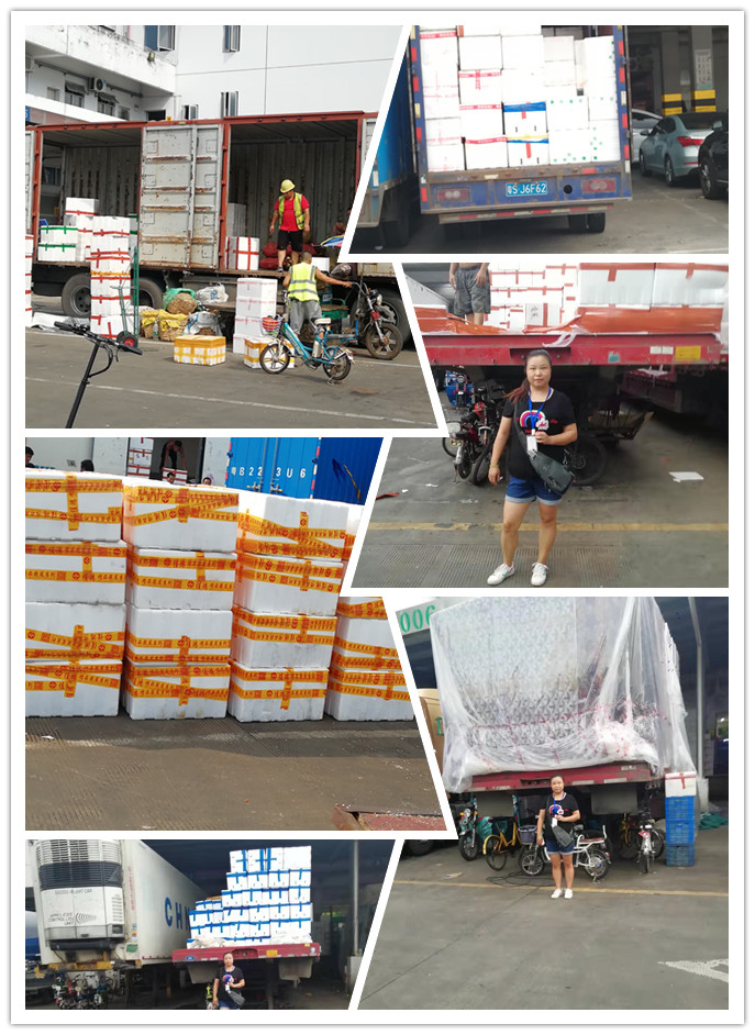 首页| J9集团国际站官方网站