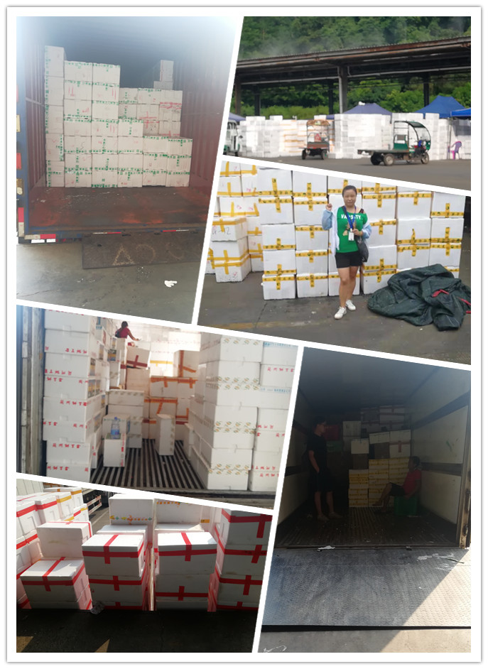 首页| J9集团国际站官方网站