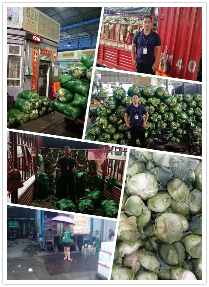 首页| J9集团国际站官方网站