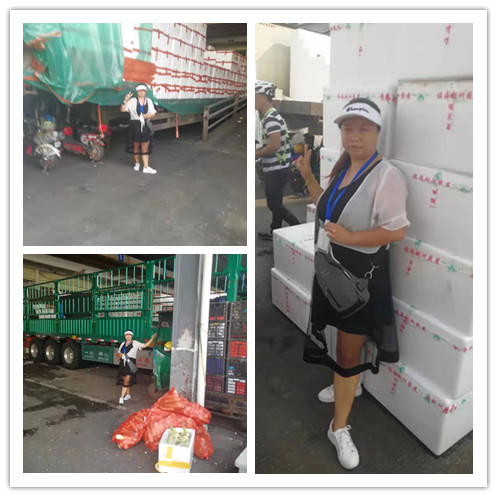 首页| J9集团国际站官方网站