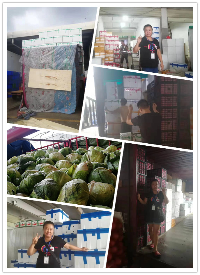 首页| J9集团国际站官方网站