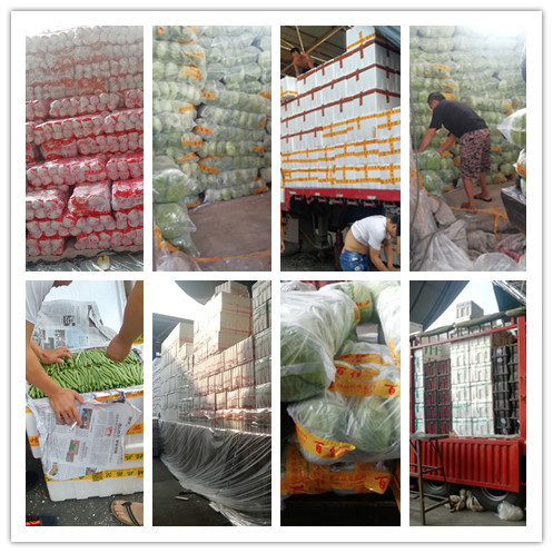 首页| J9集团国际站官方网站