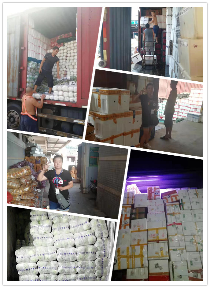 首页| J9集团国际站官方网站