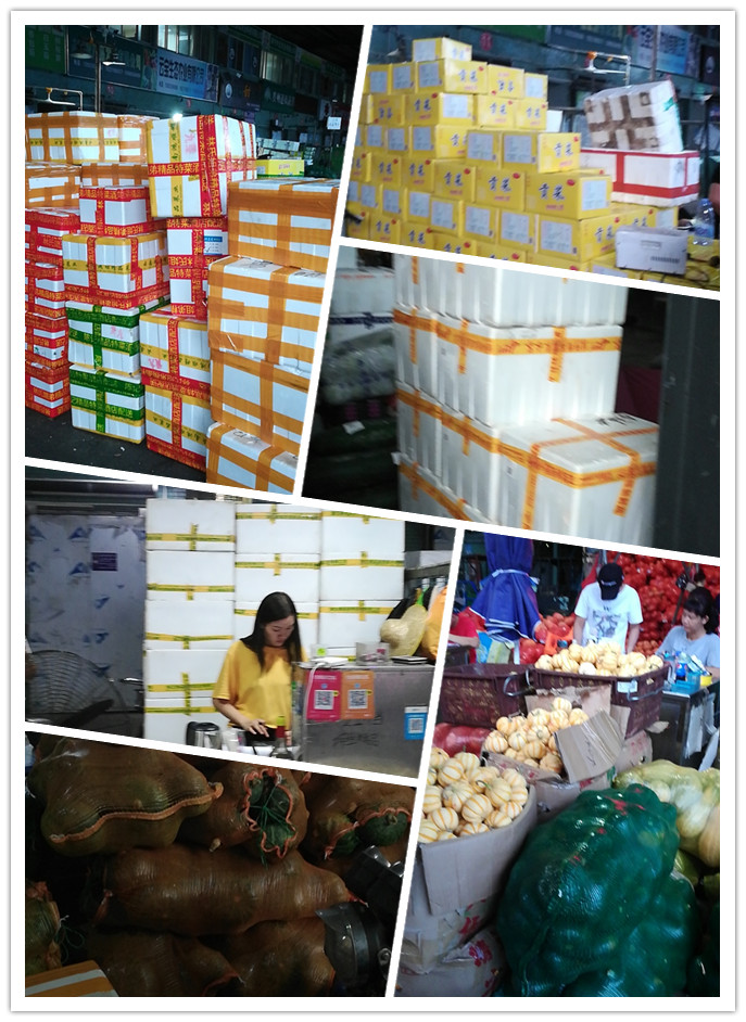 首页| J9集团国际站官方网站