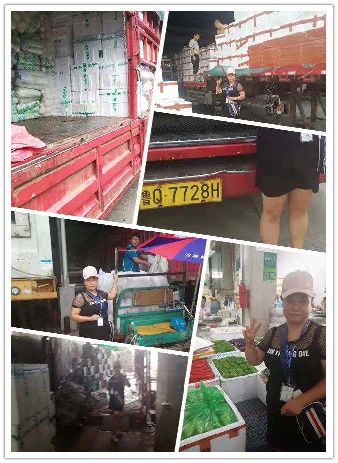 首页| J9集团国际站官方网站