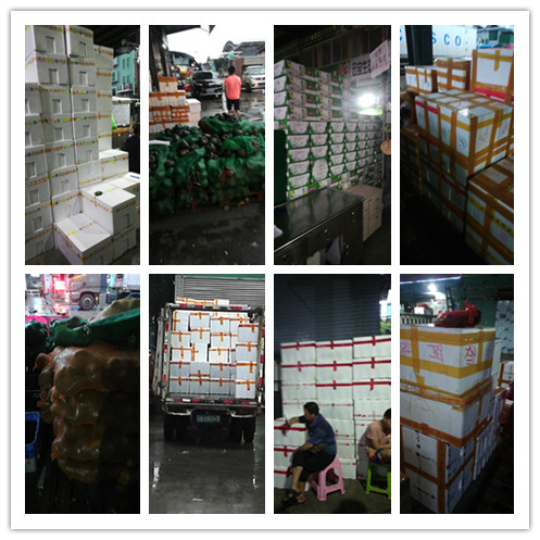 首页| J9集团国际站官方网站