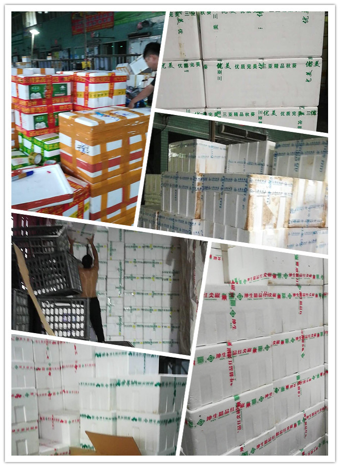 首页| J9集团国际站官方网站