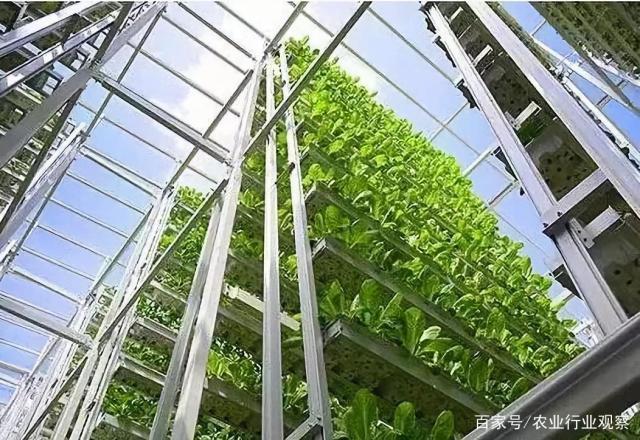 首页| J9集团国际站官方网站