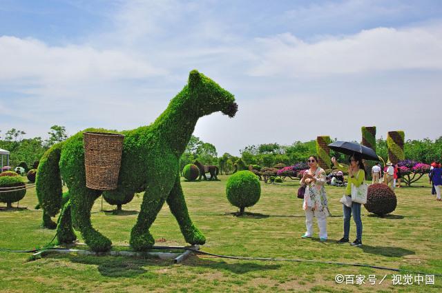 首页| J9集团国际站官方网站