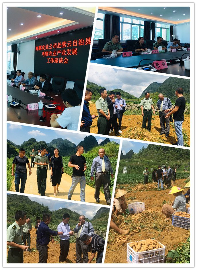 首页| J9集团国际站官方网站