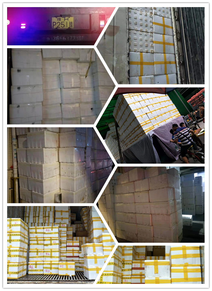 首页| J9集团国际站官方网站