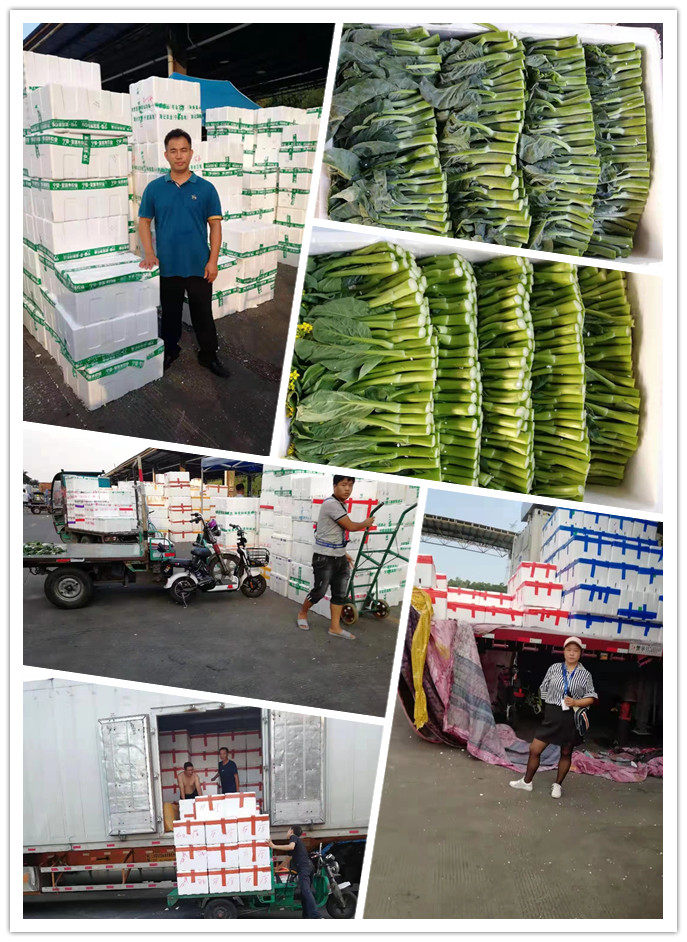 首页| J9集团国际站官方网站