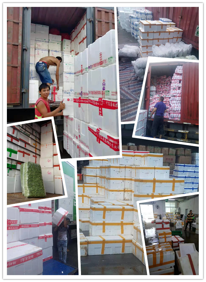 首页| J9集团国际站官方网站