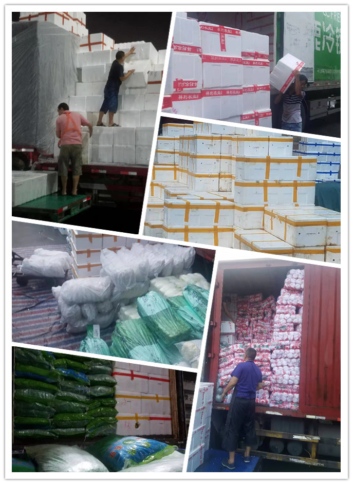 首页| J9集团国际站官方网站