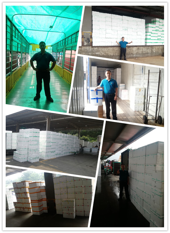 首页| J9集团国际站官方网站