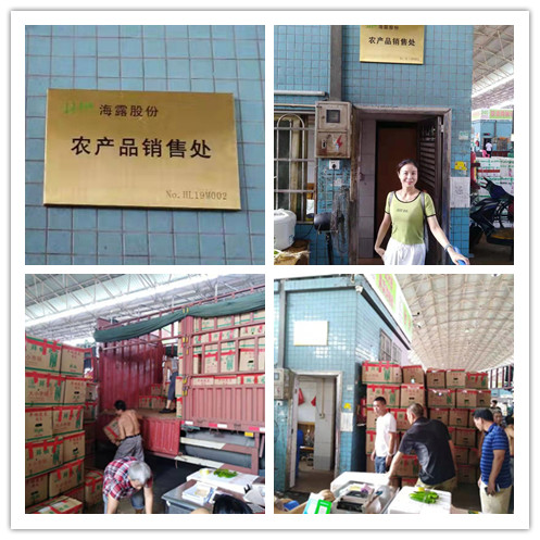 首页| J9集团国际站官方网站