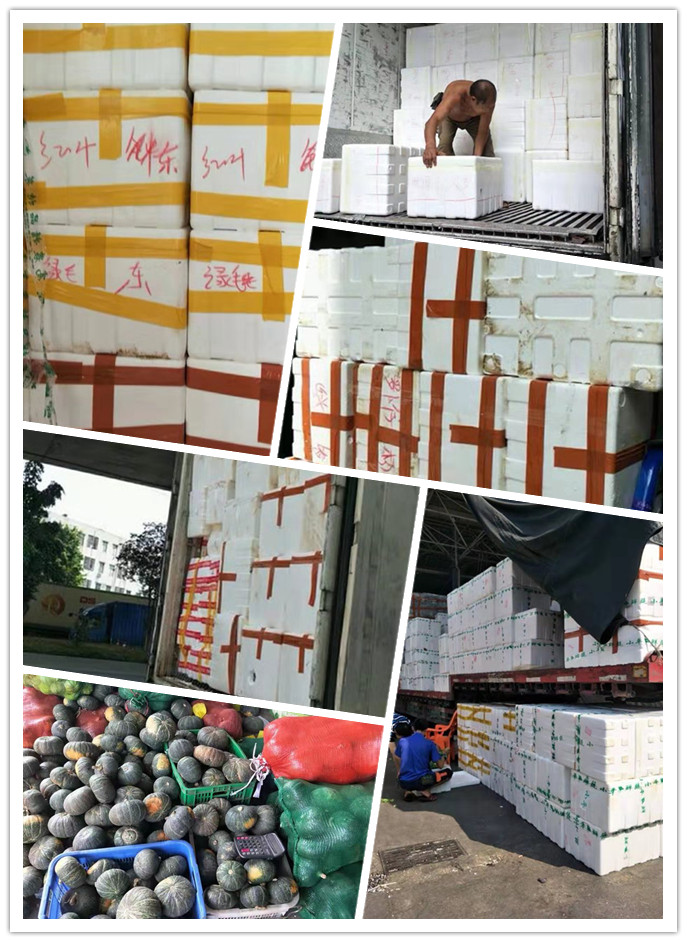 首页| J9集团国际站官方网站