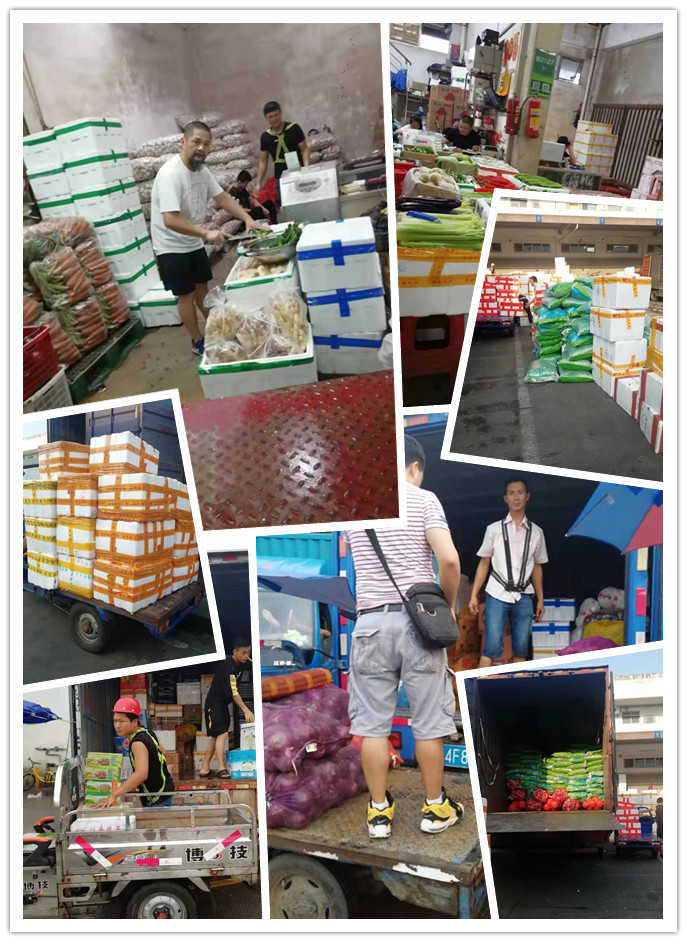 首页| J9集团国际站官方网站