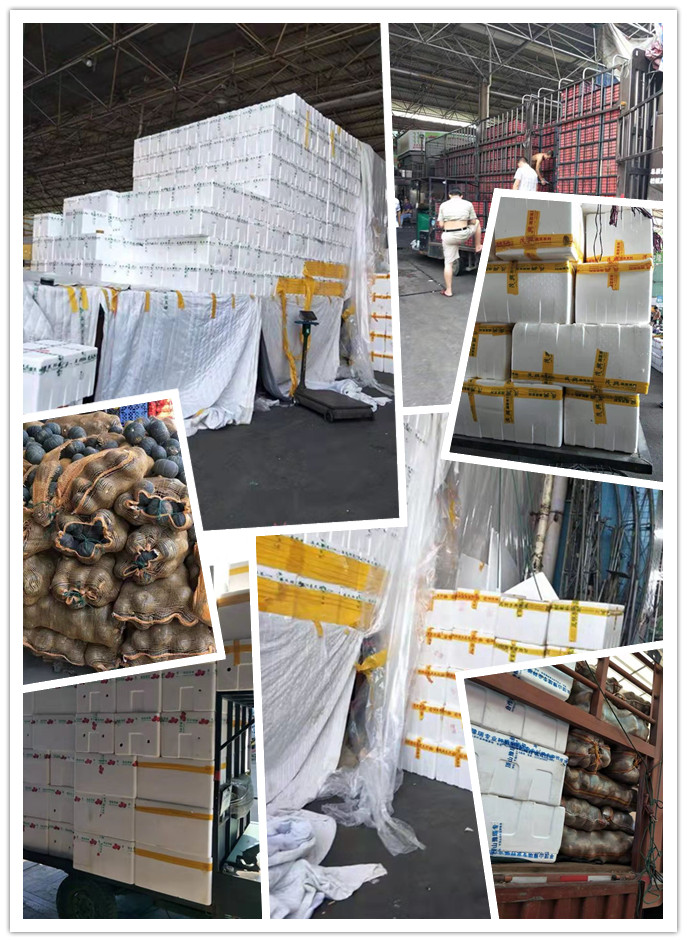 首页| J9集团国际站官方网站