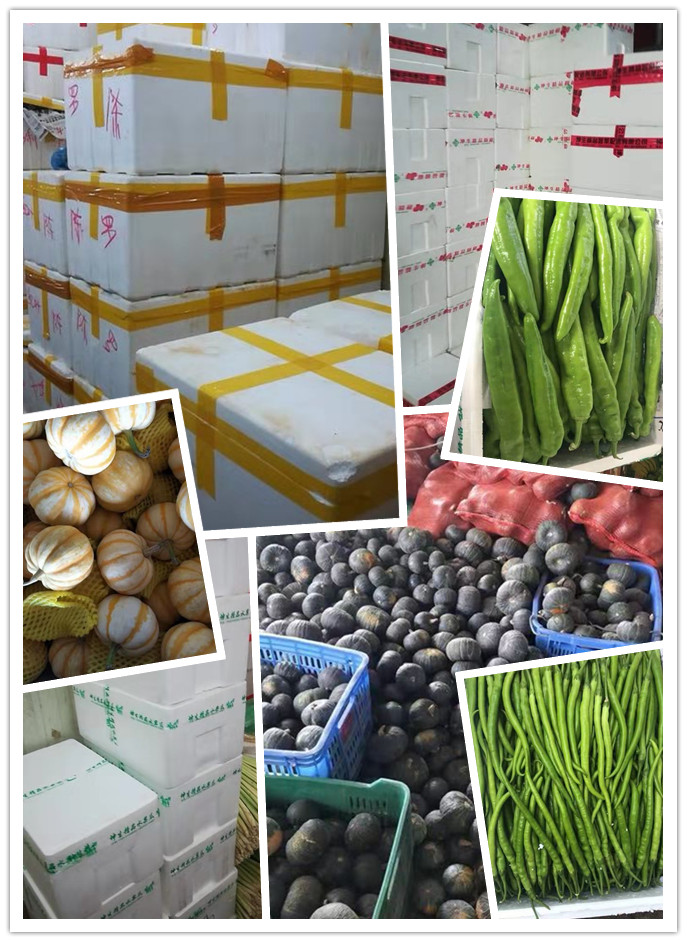 首页| J9集团国际站官方网站