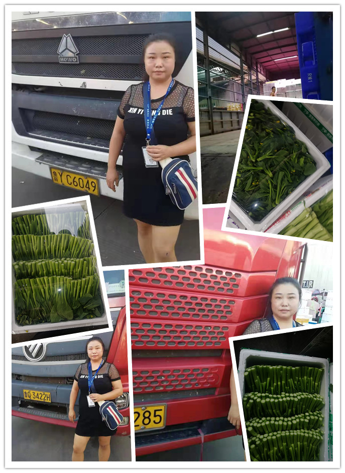 首页| J9集团国际站官方网站