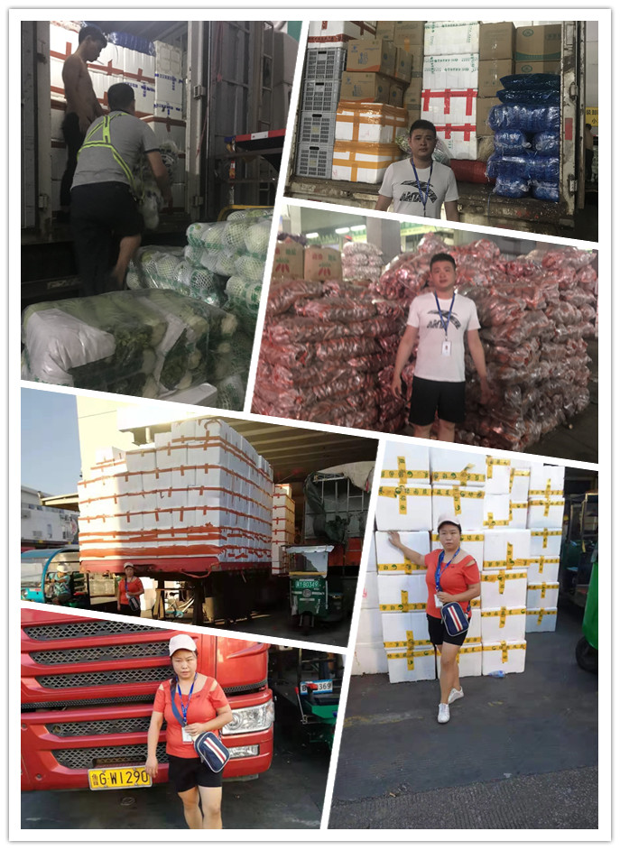 首页| J9集团国际站官方网站