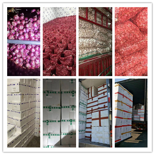 首页| J9集团国际站官方网站