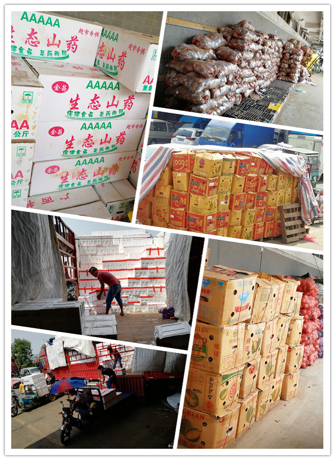 首页| J9集团国际站官方网站