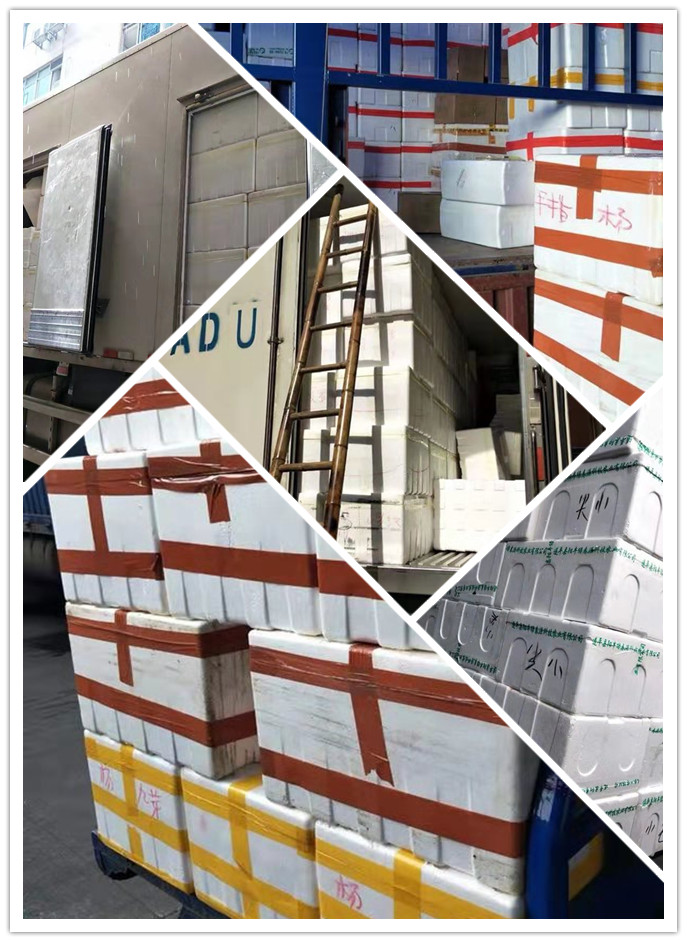 首页| J9集团国际站官方网站