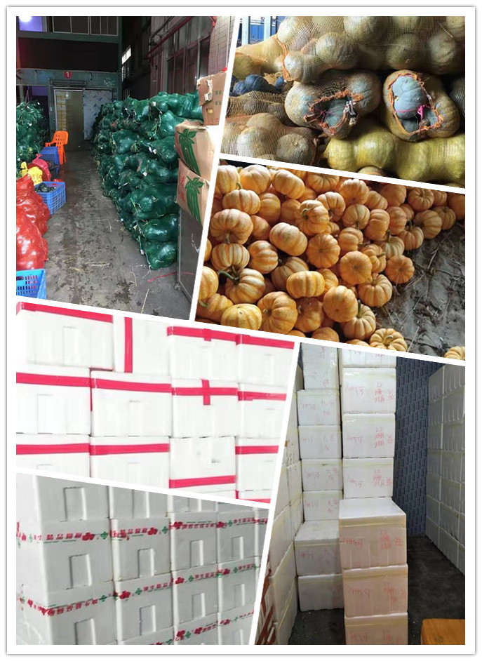 首页| J9集团国际站官方网站