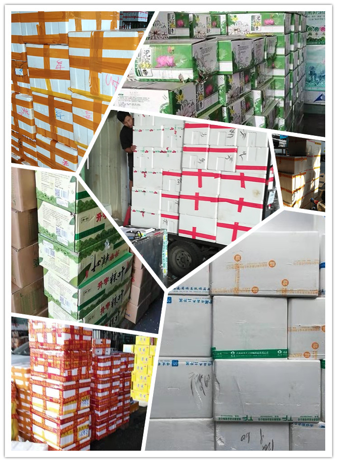 首页| J9集团国际站官方网站