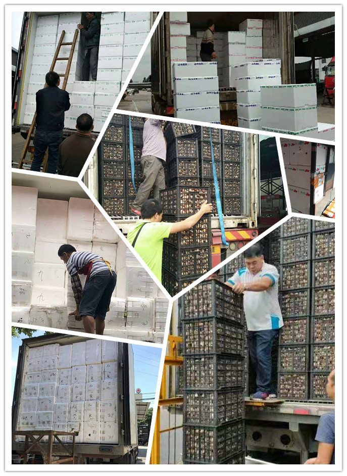 首页| J9集团国际站官方网站