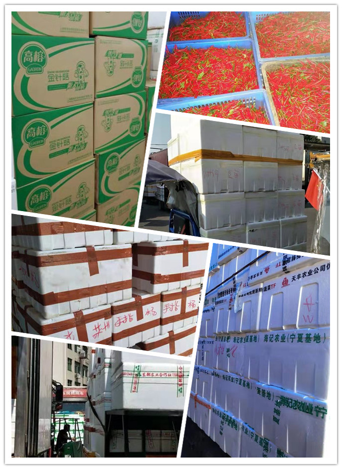 首页| J9集团国际站官方网站