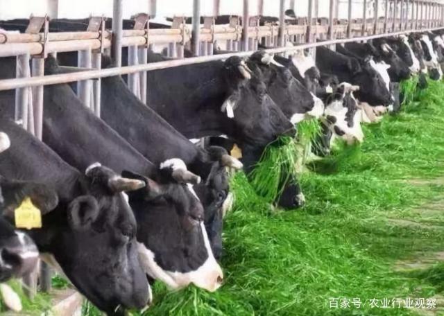 首页| J9集团国际站官方网站