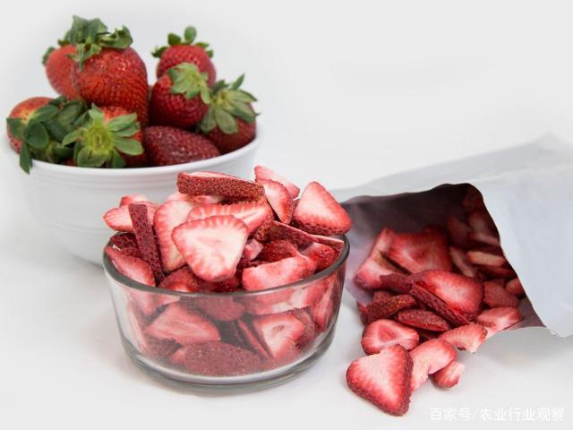 首页| J9集团国际站官方网站