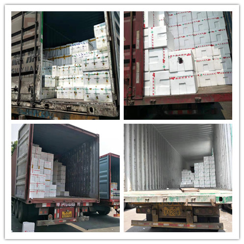 首页| J9集团国际站官方网站