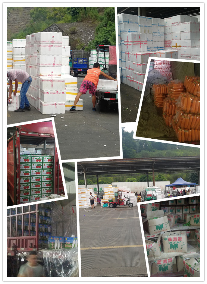 首页| J9集团国际站官方网站