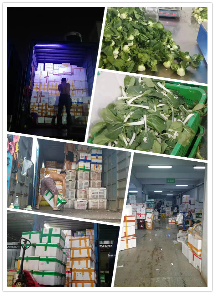 首页| J9集团国际站官方网站