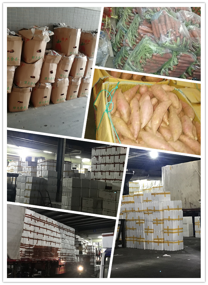 首页| J9集团国际站官方网站